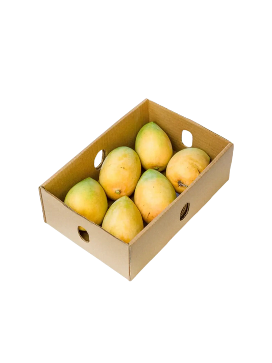 Kesar Mango Box approx. 1.3 Kg