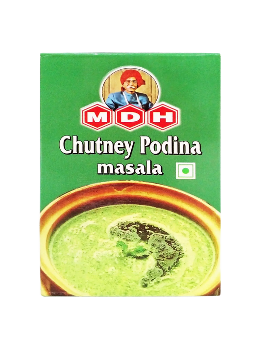 MDH Chutney Podina Masala 100g